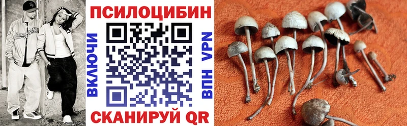 Галлюциногенные грибы прущие грибы Навашино