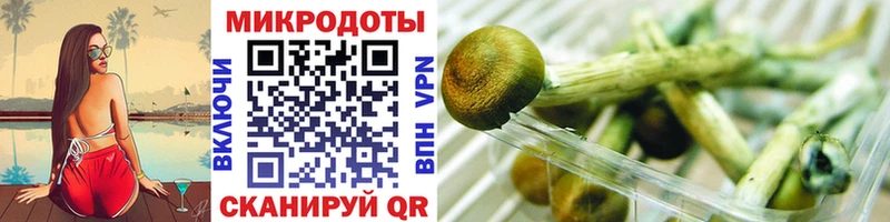 Галлюциногенные грибы Magic Shrooms  Навашино 